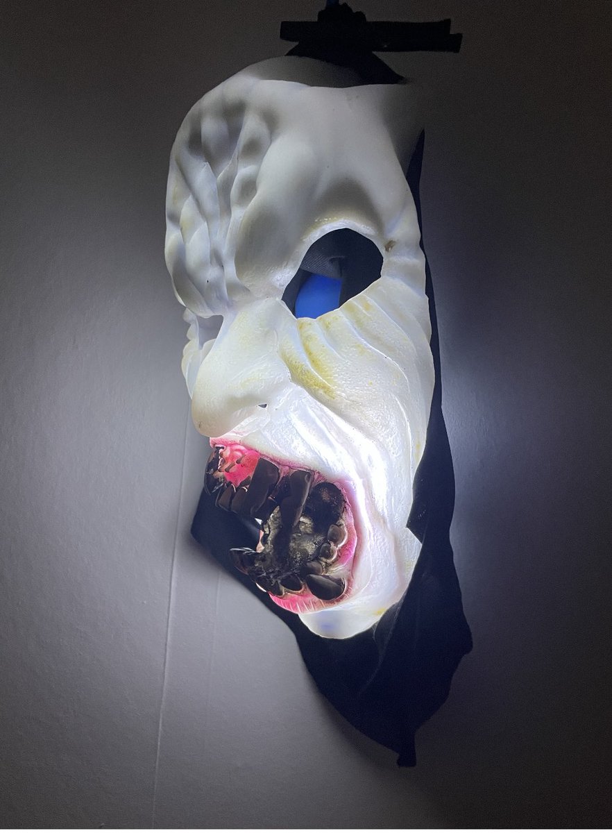 robin klassnik (@robinklassnik) on Twitter photo 