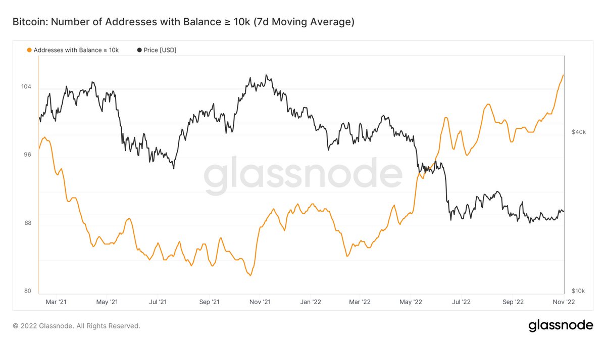 cryptorover's tweet photo. #BITCOIN WHALES ARE BUYING! 🔥👇 https://t.co/vcR0HEoSN2