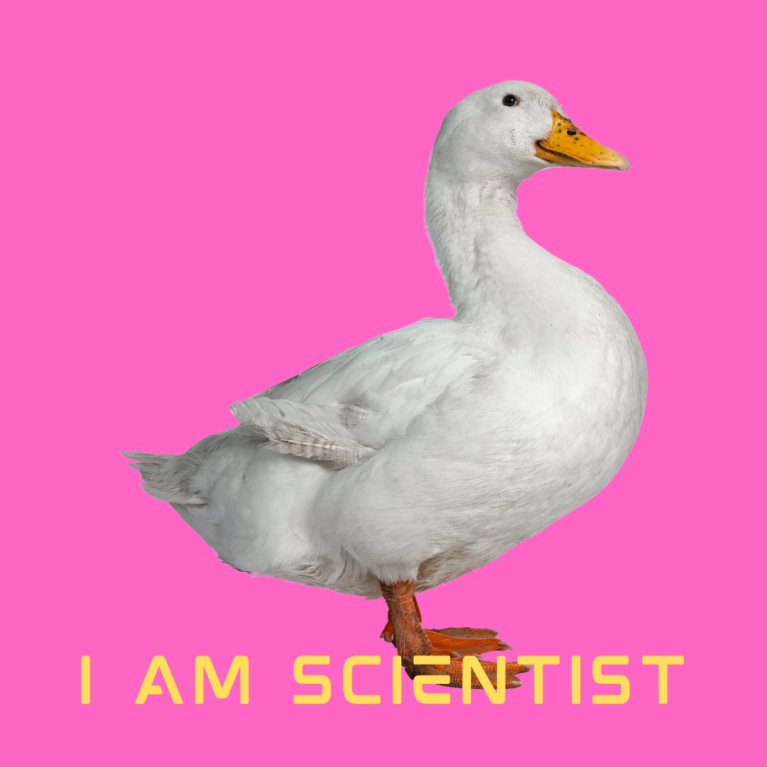 DanielHoelle's tweet photo. Podcast-Fans! @philipplhubert und ich hosten jetzt monatlich "I am Scientist"! 
Wir interviewen Promovierende über deren Forschung, Alltag und Herausforderungen. In der ersten Folge ist @MarenWeil zu Gast.

Überall wo es Podcasts gibt. Viel Spaß beim Hören! https://t.co/3b2BJ9EL70