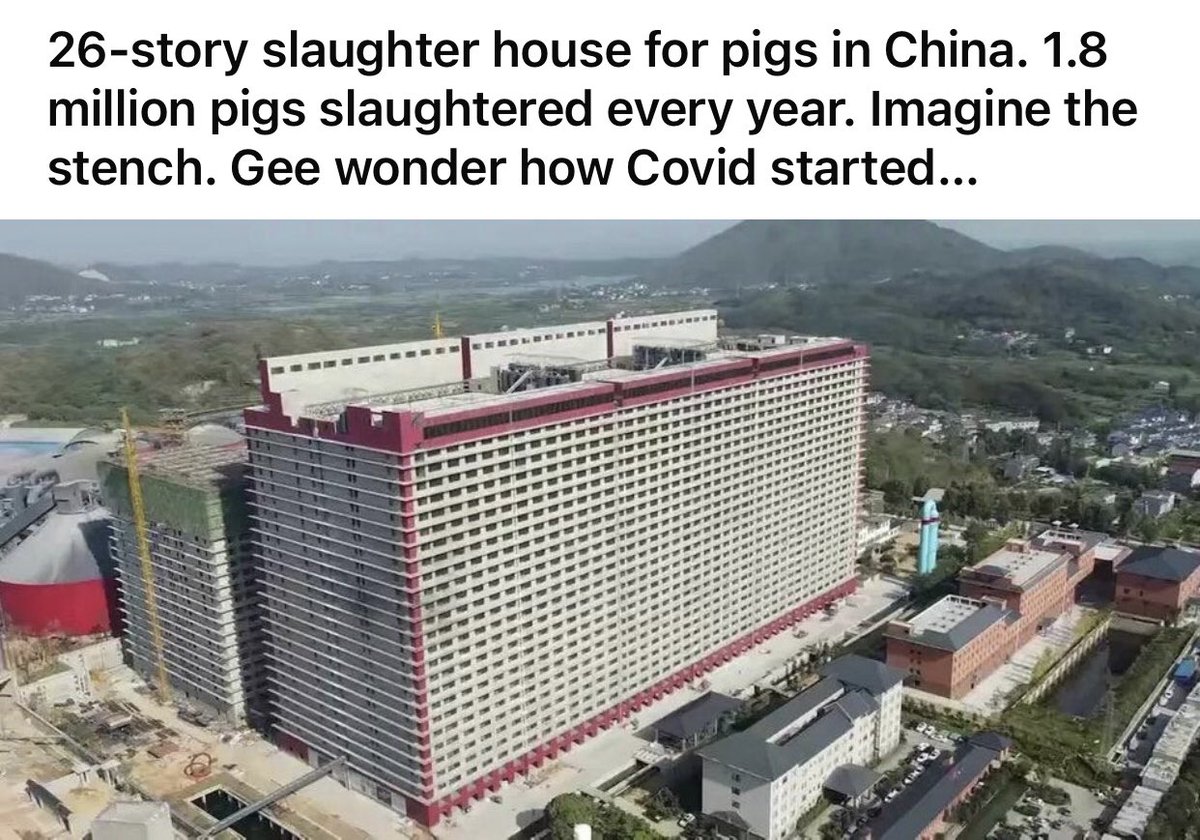 TuckerStefan's tweet photo. 26-story slaughter house for pigs in China. 1.8 million pigs slaughtered every year. https://t.co/S8qgHmidFw