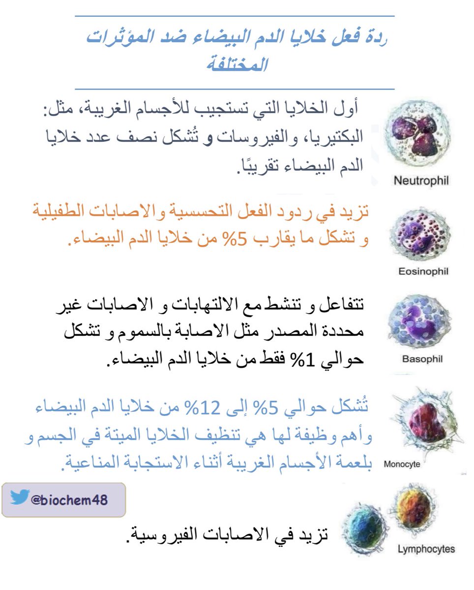 ردة فعل خلايا الدم البيضاء ضد المؤثرات المختلفة