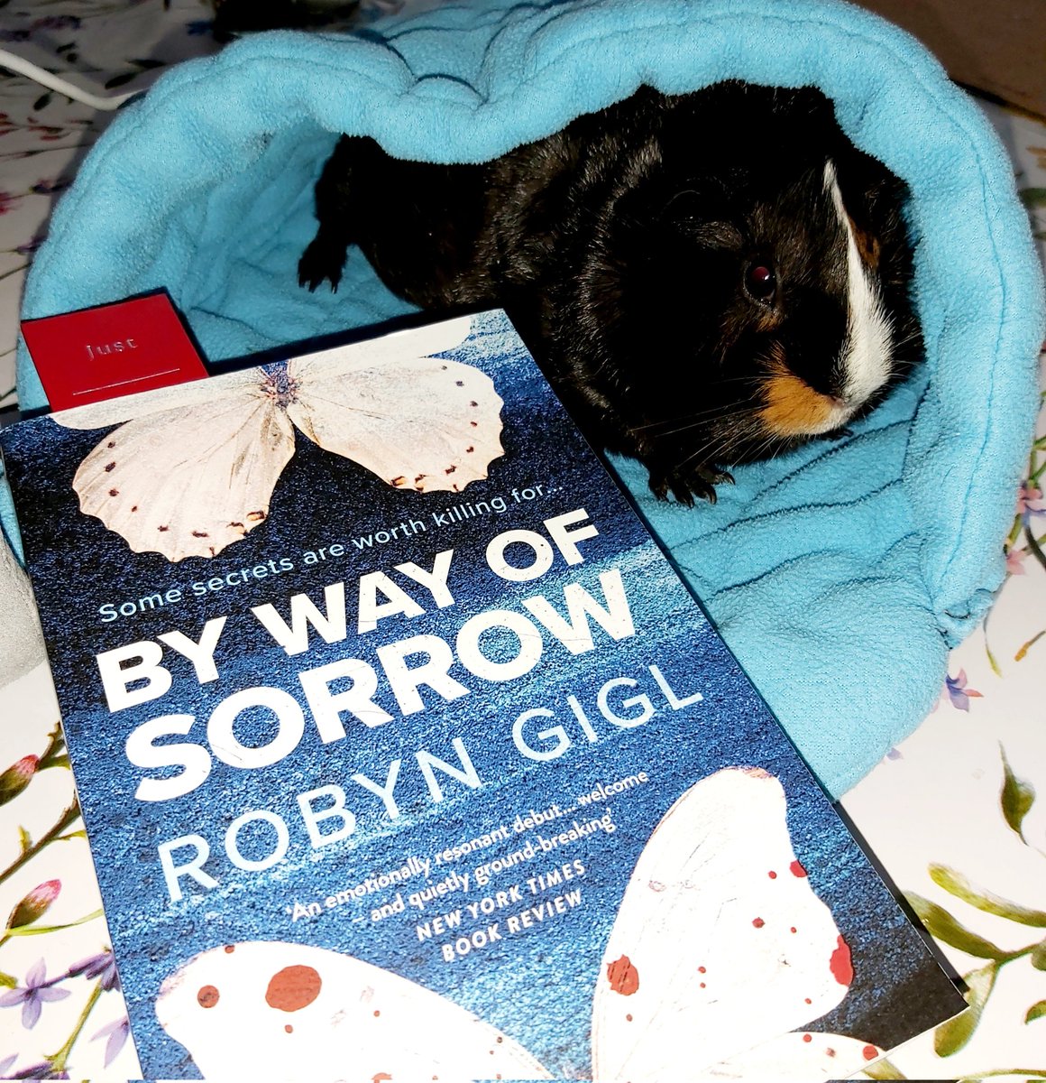 Well this book is really good and features a transgender lawyer, I think it's well written too...#ByWayOfSorrow @robyngigl 🏳️‍🌈