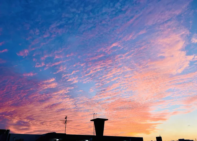 今日はお空が綺麗だった 