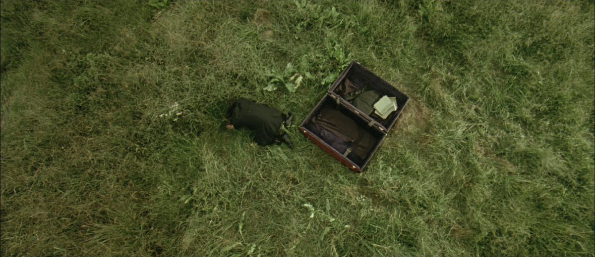 The Cinegogue tweet media