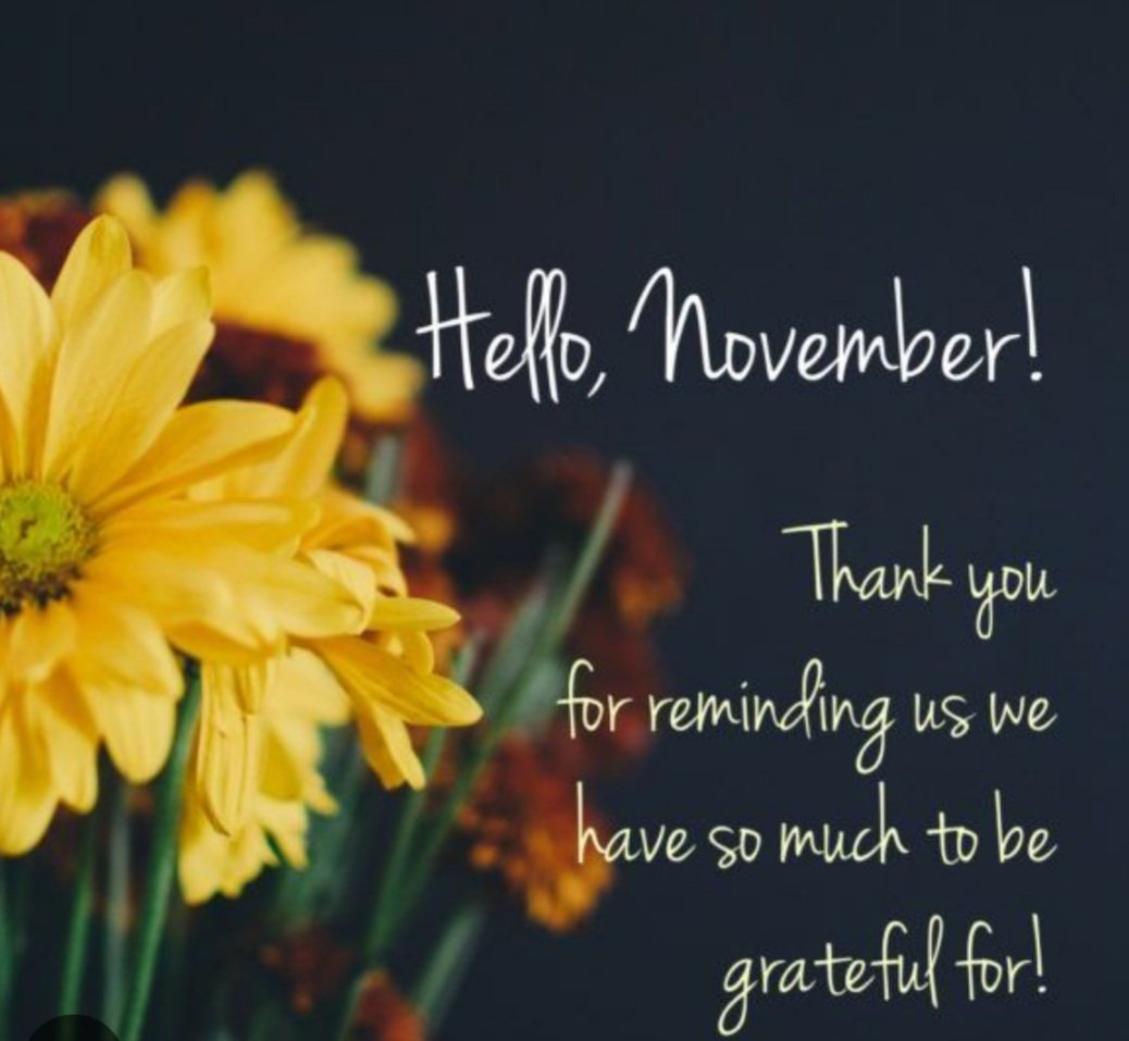 SujitaJoshi's tweet photo. #HelloNovember #NewMonthNewBeginning https://t.co/4IQKNc2S5V