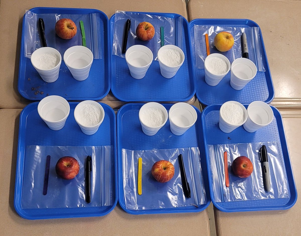 MrsSprockRocks (@mrssprock) on Twitter photo Preparing to make apple mummies with my 7th graders today. A little Halloween fun in Social Studies
<a href="/AlmiraGators/">Almira PreK8 Academy</a> Preparing to make apple mummies with my 7th graders today. A little Halloween fun in Social Studies
<a href="/AlmiraGators/">Almira PreK8 Academy</a>