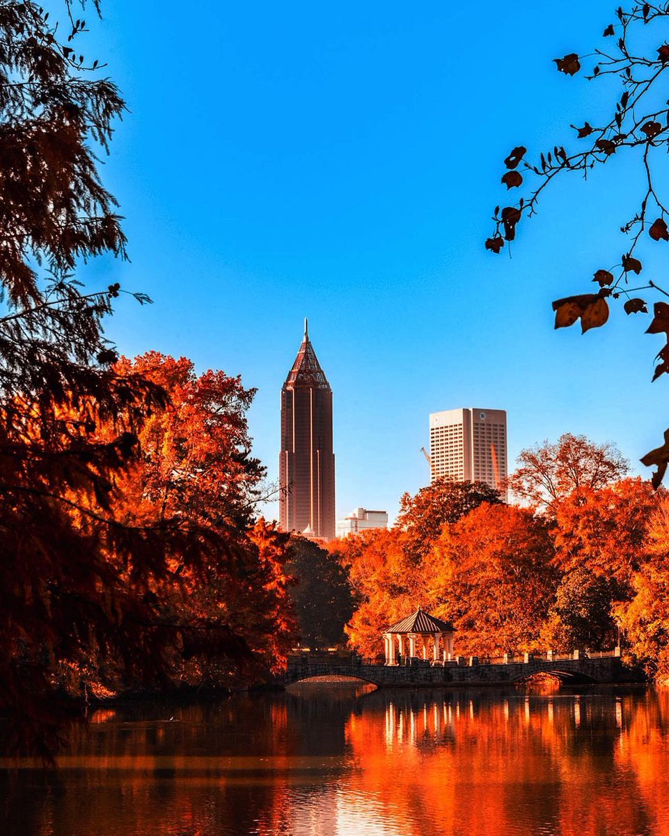 Fall is looking too good on you, Atlanta. 🍂 📸: bamtog via IG