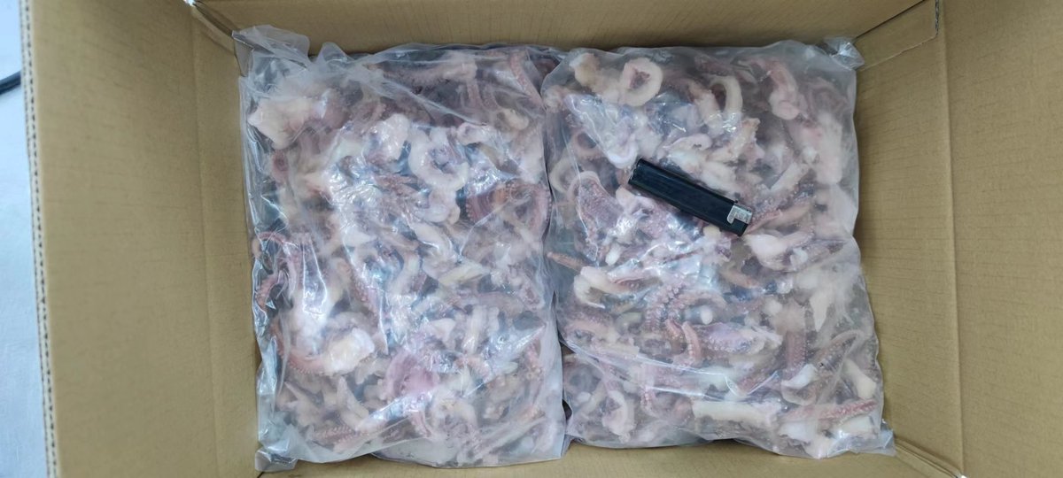 Blanched Peru squid tentacles processing and supply in good quality.
Any interest pls contact me through below:
WhatsApp: +8615192796099
Mobile:+8617662701293 (WeChat)
Email: xyk1205@126.com
Skype: xingyunkuo