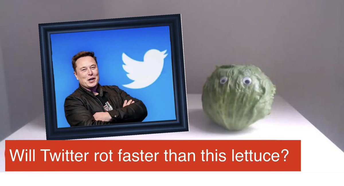 #AMessageToElonMusk
Lettuce be honest. 
Your sell by date is nigh.