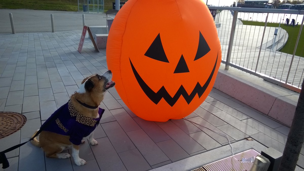 Author Kelly Baker tweet media