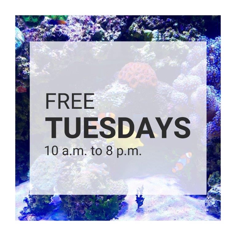 Tuesday is free general admission day at the Huntington Museum of Art and C. Fred Edwards Conservatory. Our Tuesday hours are 10 a.m. to 8 p.m.