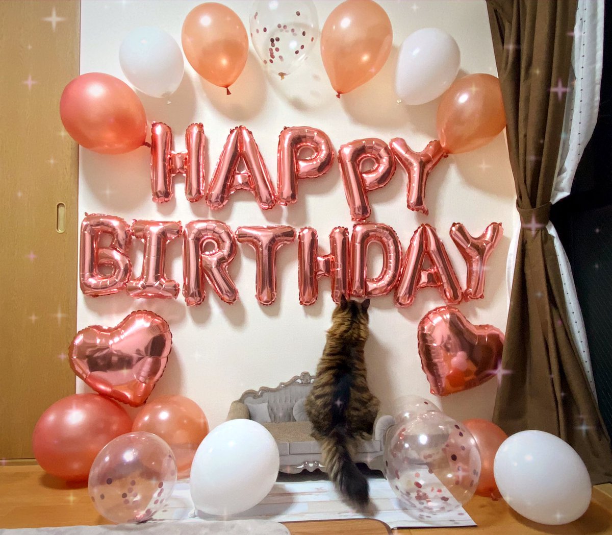 たすちゃんnnnm tweet media