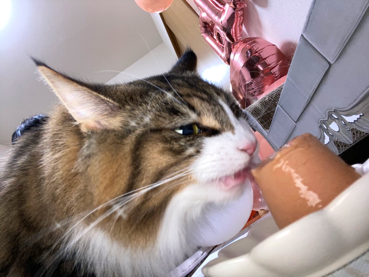 たすちゃんnnnm tweet media