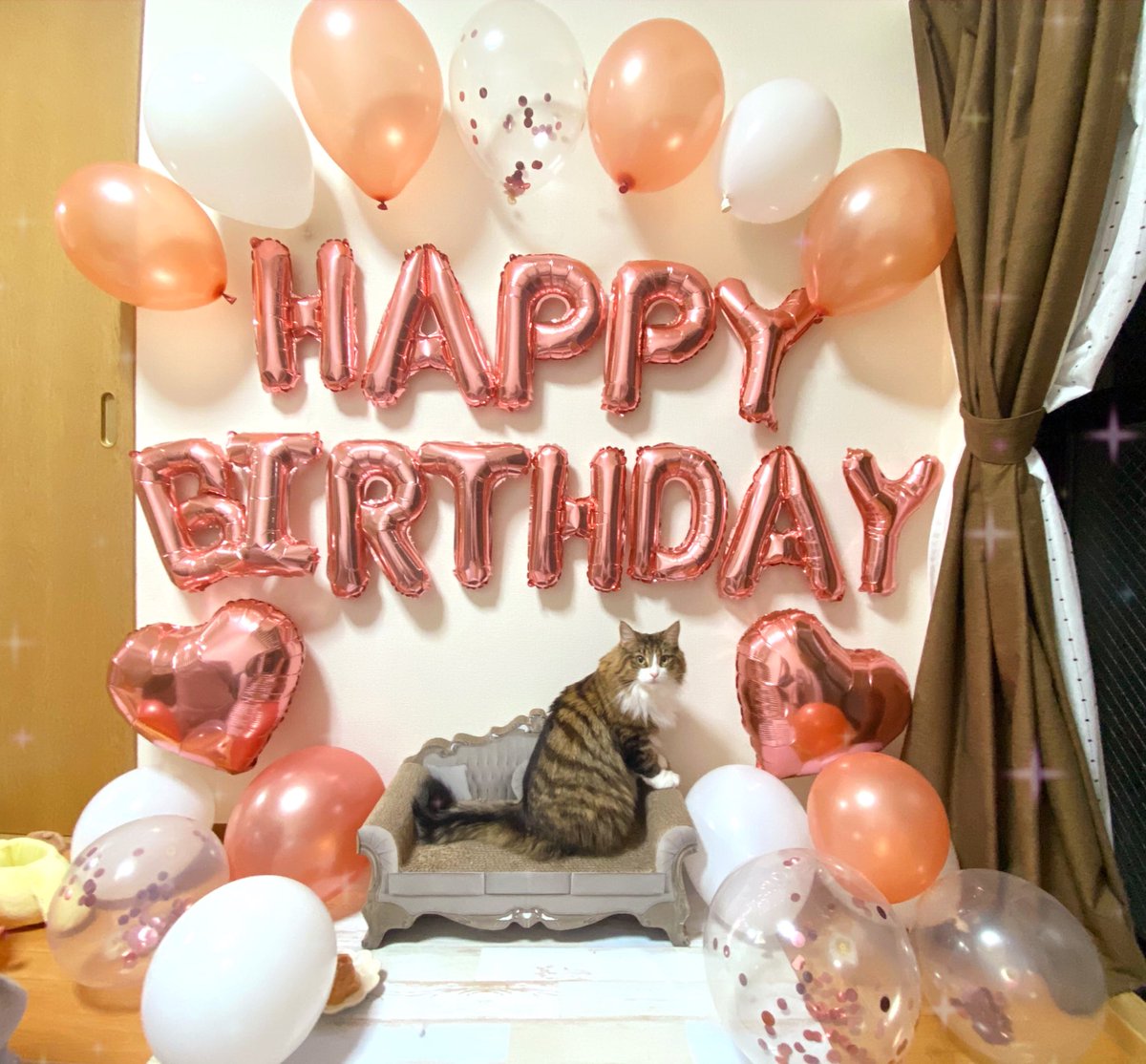 たすちゃんnnnm tweet media