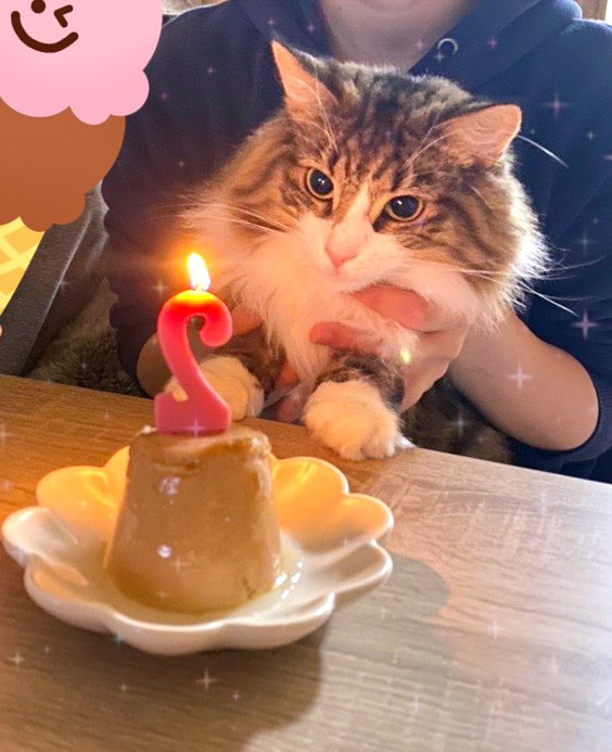 たすちゃんnnnm tweet media