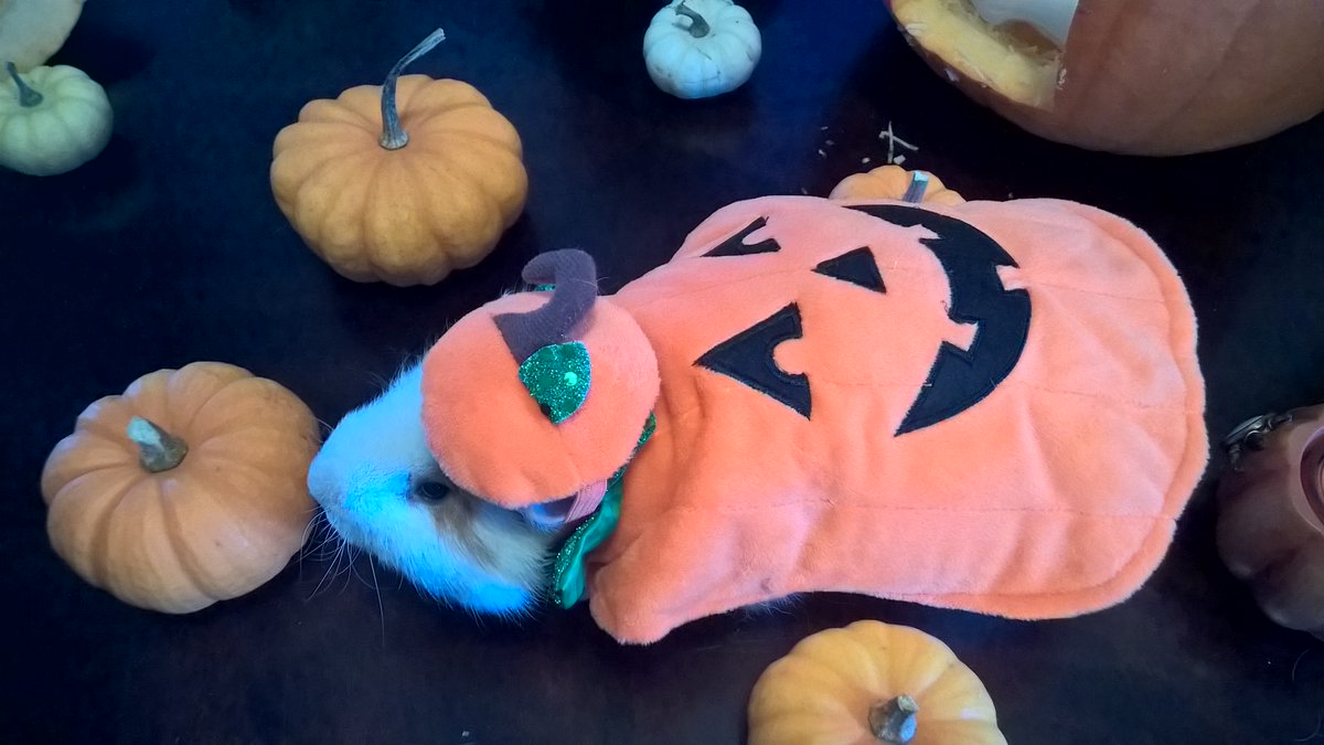 Author Kelly Baker tweet media