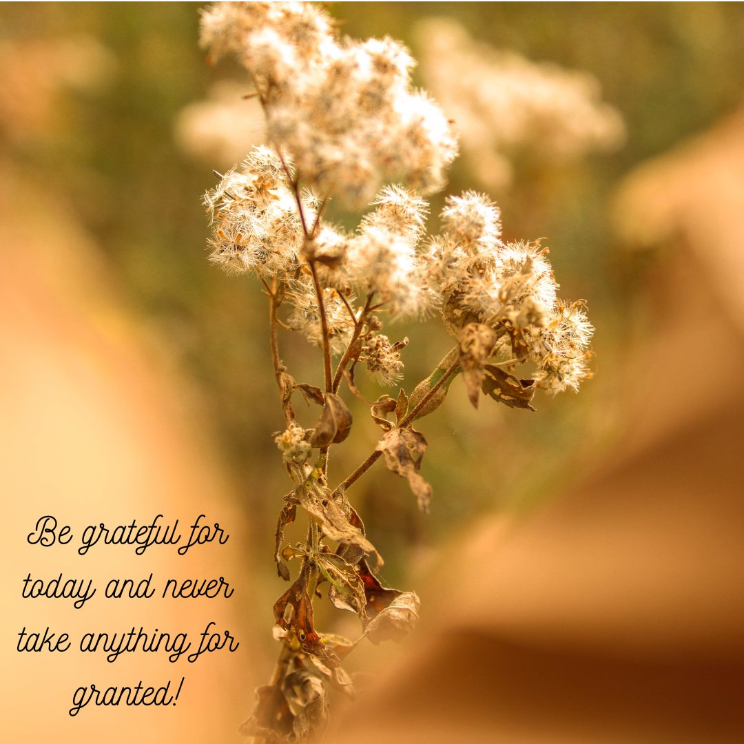 eMPhotog's tweet photo. Hope is getting us in the right mindset for for holiday season!  We are filling our hearts with grace and gratitude.  ❤️

📸: Hope for eM https://t.co/T7O1TmULse