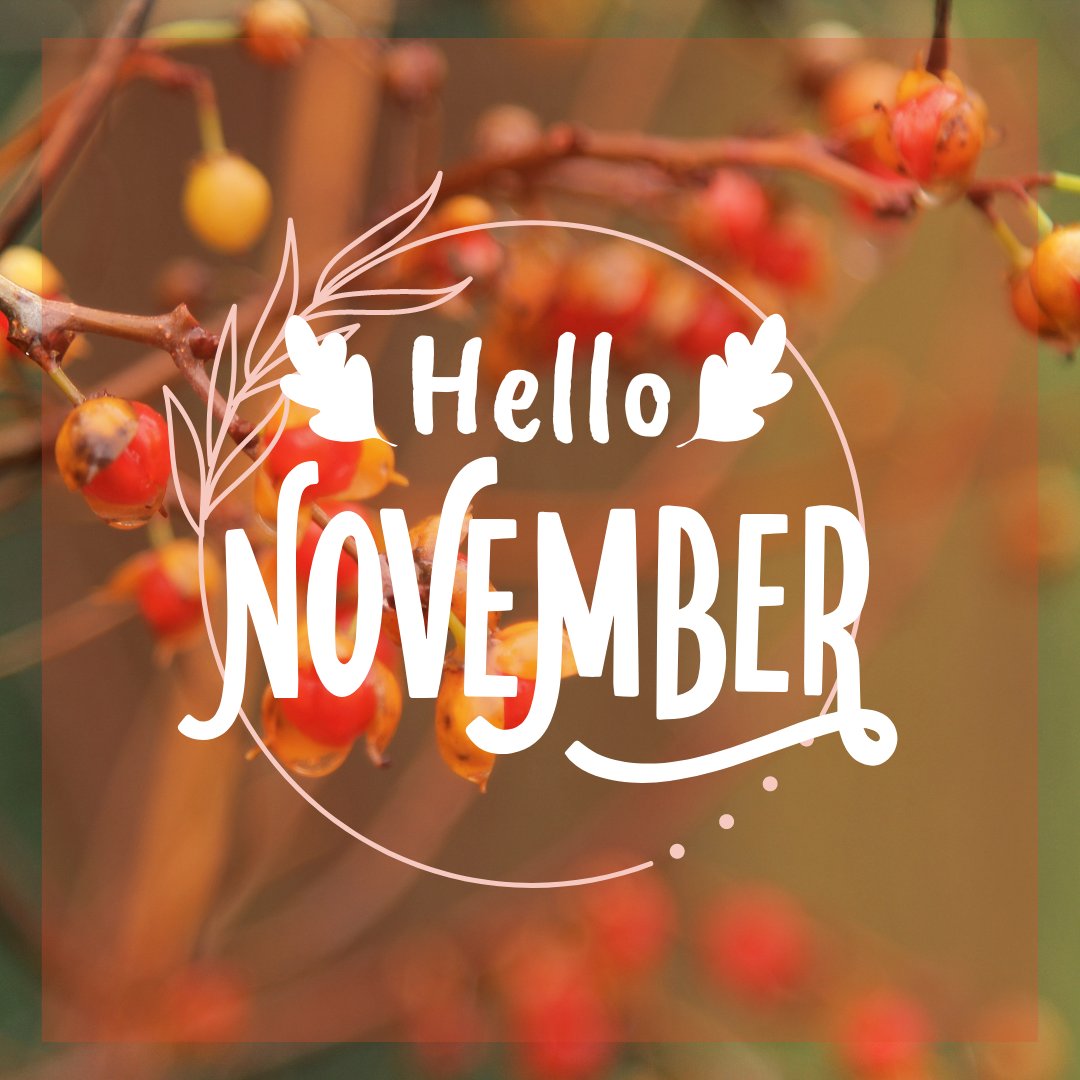 Lake Michigan Academy tweet media