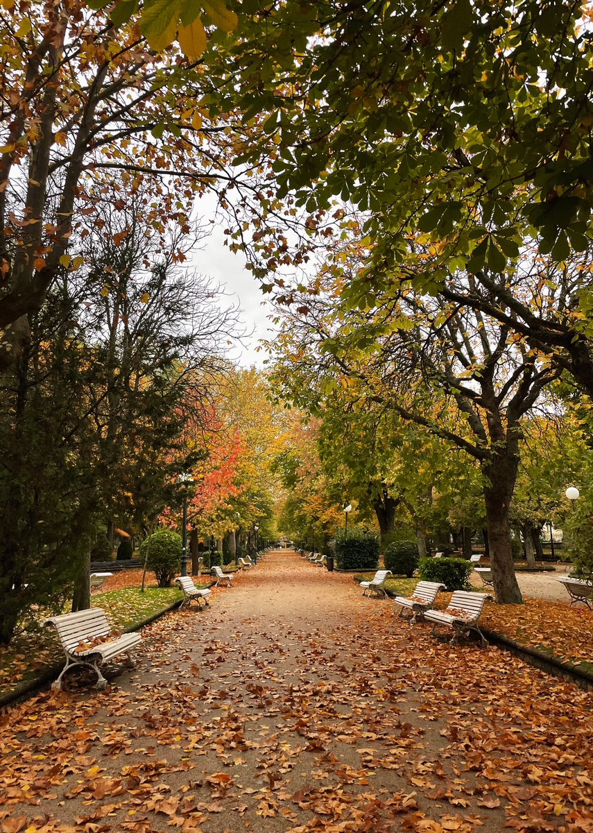sararomeca's tweet photo. Soria en otoño🍁🍂😍 https://t.co/cc7LO1Wqqo