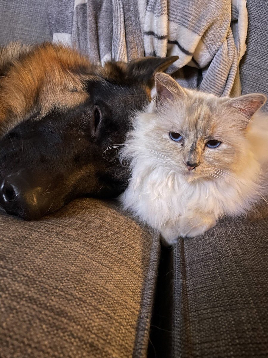 Hij had dagmerrie’s dus ik ben even bij hem gaan liggen, kan hij beter slapen