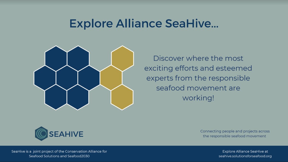 GSI_salmon's tweet photo. Today, we’re exploring #SeaHive, a new resource from the @ConsAllianceSS, to discover where the most exciting and innovative efforts and experts from the responsible seafood movement are happening! https://t.co/Q685QelQLy https://t.co/lNNAXhM0EQ