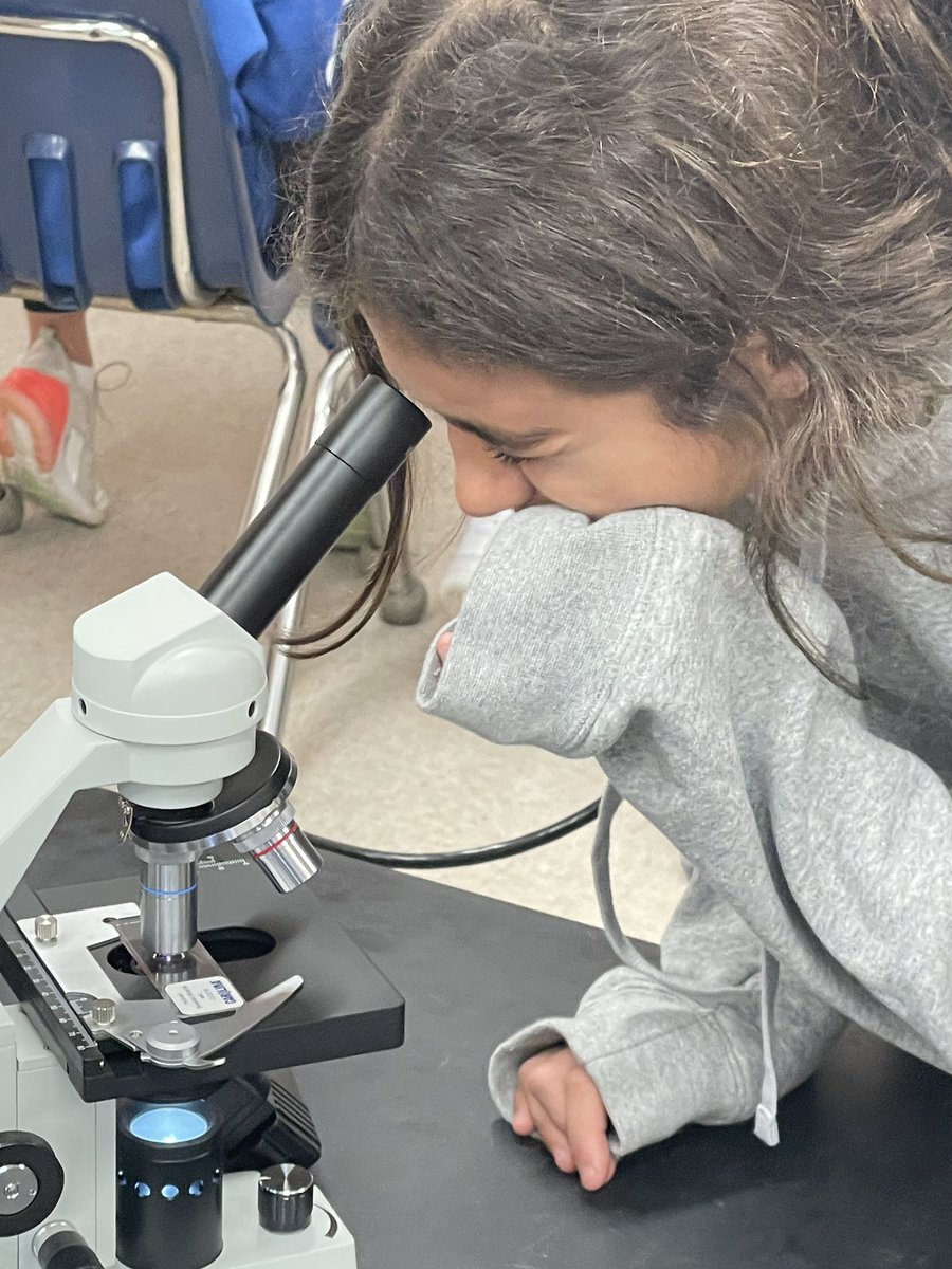 Jennifer Bresler tweet media