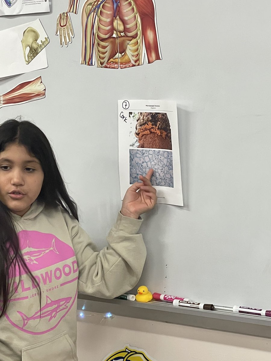 Jennifer Bresler tweet media