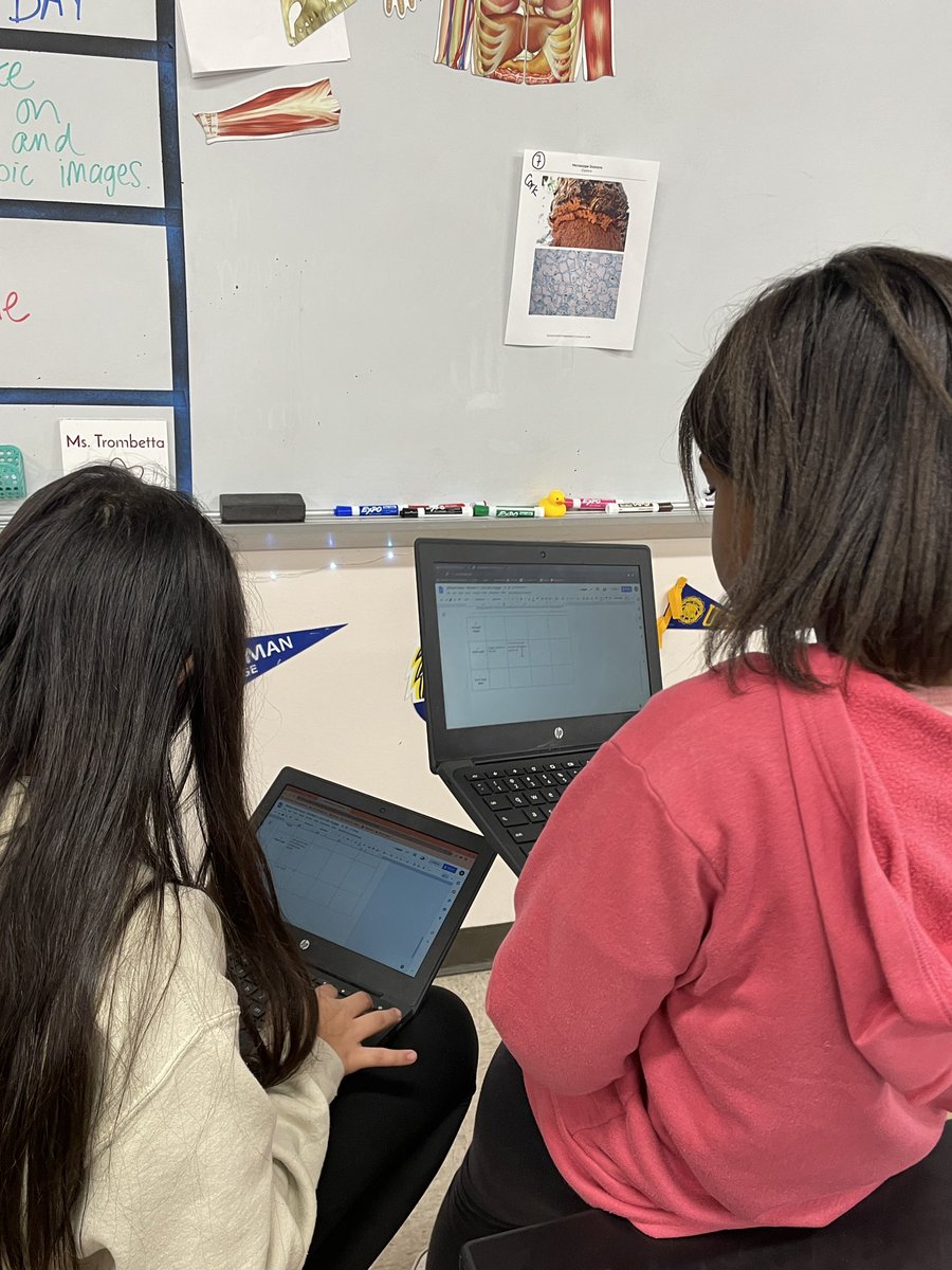 Jennifer Bresler tweet media