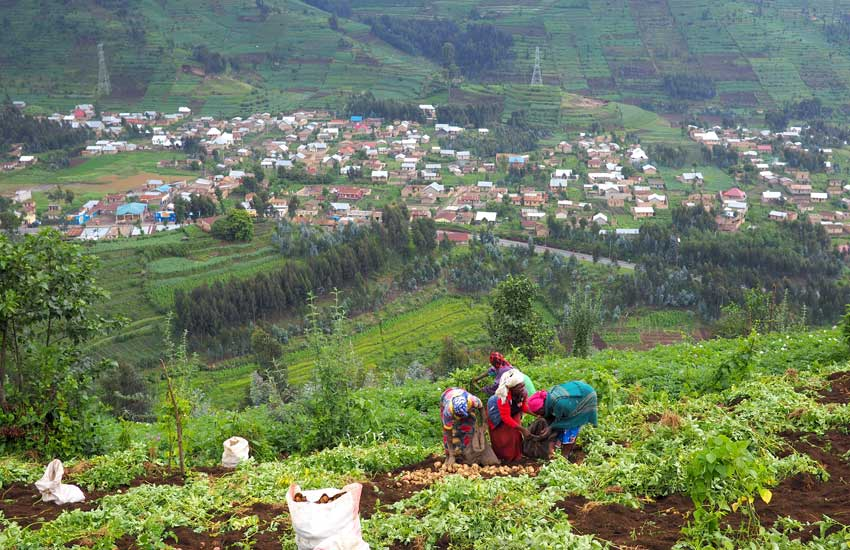 Lands_Rwanda's tweet photo. Tubararikiye ikiganiro #WaramutseRwanda kuri @RwandaTV kizavuga ku gishushanyombonera cy'imikoreshereze y'ubutaka hibandwa ku butaka bw'ubuhinzi aho hari abasigaye babukoresha nabi babwubakaho cyane cyane aho umuvuduko w'iterambere ry'imijyi urimo kwiyongera. Ni ejo guhera 7:15AM https://t.co/Hc4rfrOFIf