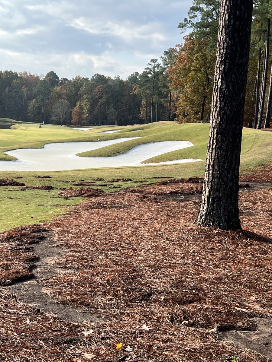 BpAgronomy's tweet photo. Heavy downpour last night and debris washed all around the property.   The #capillaryconcrete bunkers are working as designed.  Sand still in place for golf today. Labor saved. 👍🏻 https://t.co/SG19rBAhIP
