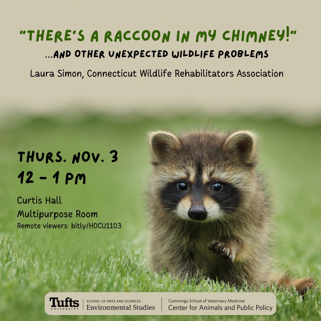 Thursday at noon (ET) – free live webinar discussing  how to resolve “nuisance” wildlife problems and give deeper insight into the wildlife who frequent our backyards and neighborhoods.
events.vet.tufts.edu/event/theres_a… 
#wildlife #wildliferehab #wildlifecontrol
