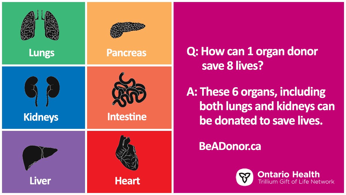 Have you ever wondered how 1 organ donor can save 8 lives? If found to be medically suitable, transplant teams will try to match your heart, liver, intestine, pancreas, as well as both kidneys and lungs with waitlist patients. Register at ow.ly/sa4a50LkBh1