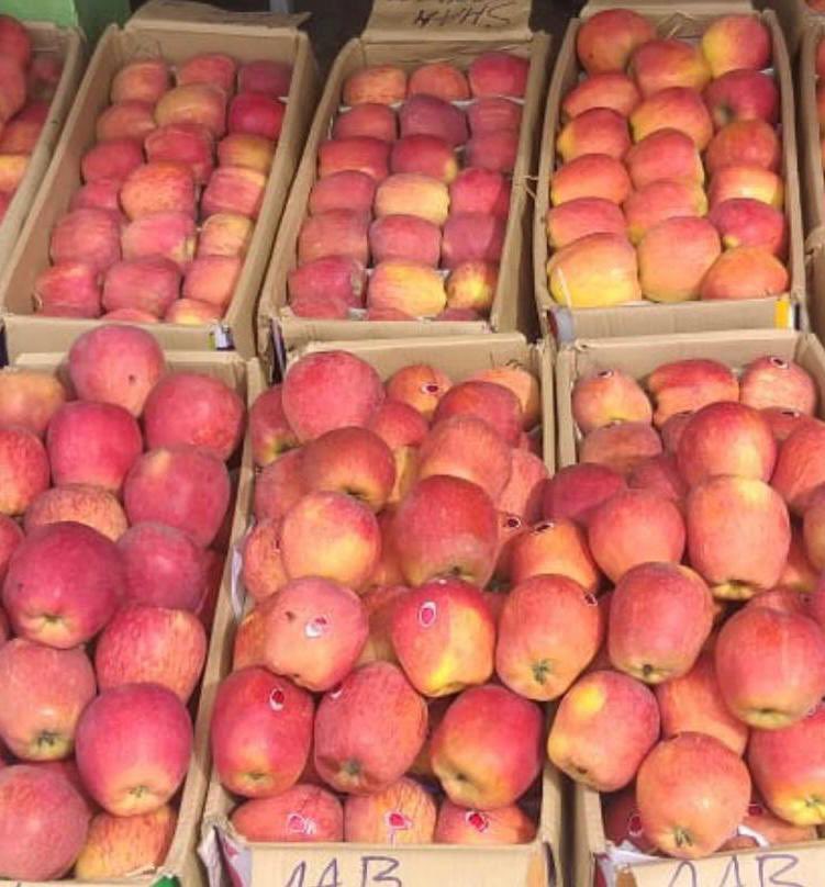 sfacindia's tweet photo. Rs 20 lakh worth of #fresh #apple traded on #eNAM today- from #Handwara Mandi to #Dhanbad- seamless digital #agribusiness #digitalIndia #farmtofork #sourceitright @AgriGoI @ShobhaBJP @KailashBaytu @nstomar @mygovindia @PMOIndia https://t.co/ysaMiZCZWb