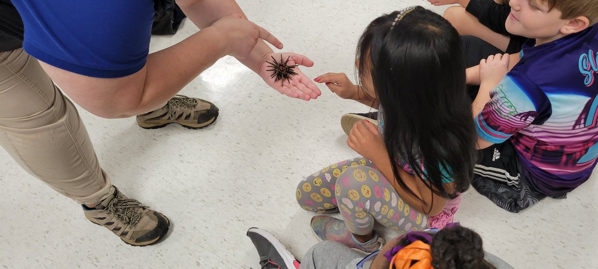 East Ridge Elementary eLab tweet media