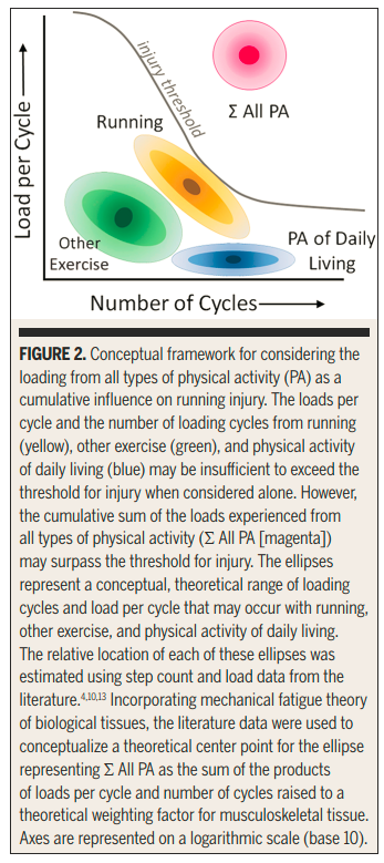 PhysioMeScience's tweet photo. The Missing Link in Running Injury 
Research: Nonrunning Physical Activity

🏃‍♂️🏃‍♀️

https://t.co/Yf1EXKS5J8 https://t.co/vdMx0hw9nu