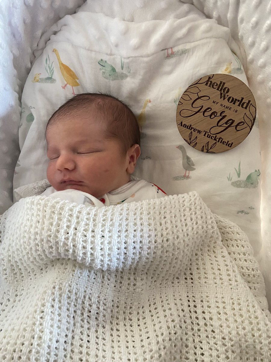 Brad Tuckfield tweet media