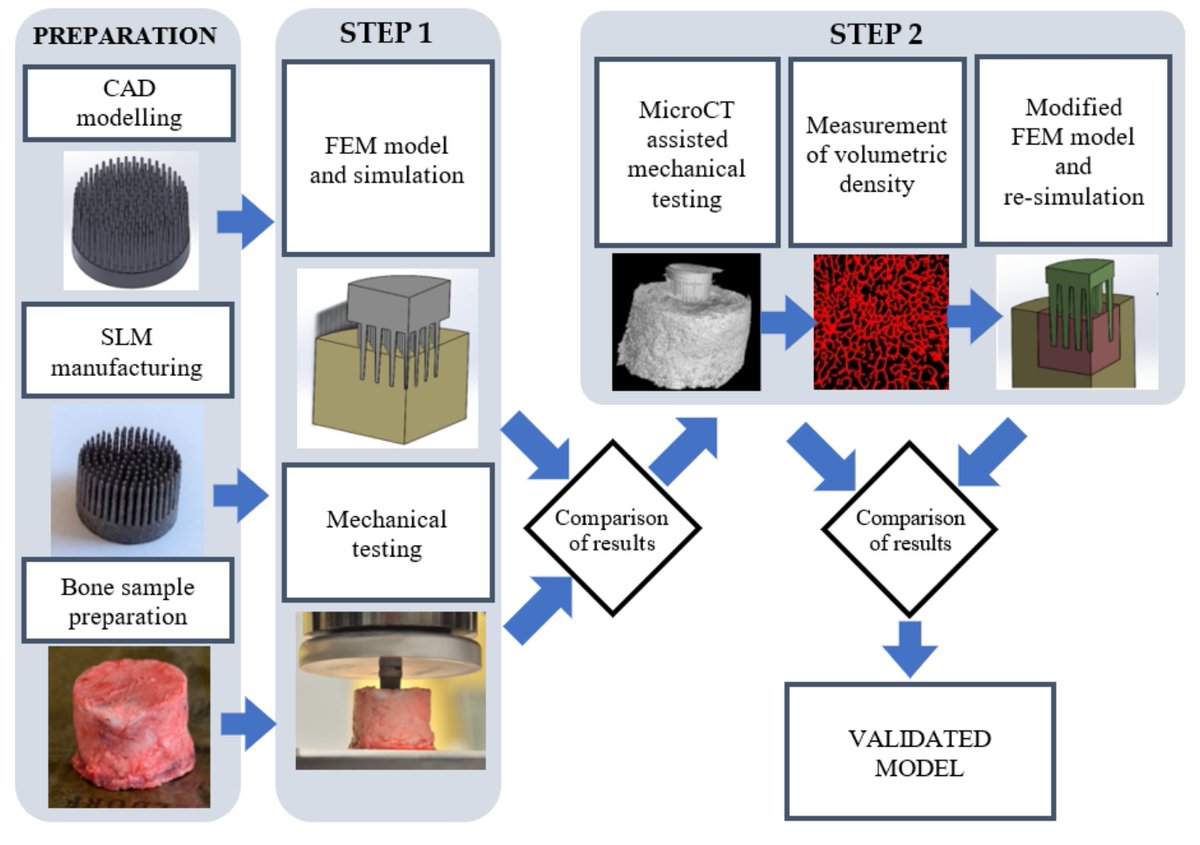 MariuszWiniecki's tweet photo. #microCT #bone density #assessment during embedding of MSC-#scaffold in bone provides insight to #biomechanics of #implant-bone system and validates #numericalmodel for #design of #new fixation of #resurfacing #endoprostheses. @Materials_mdpi
👉Full Paper: https://t.co/TWzwYWy38j https://t.co/pGhEWtPX8X