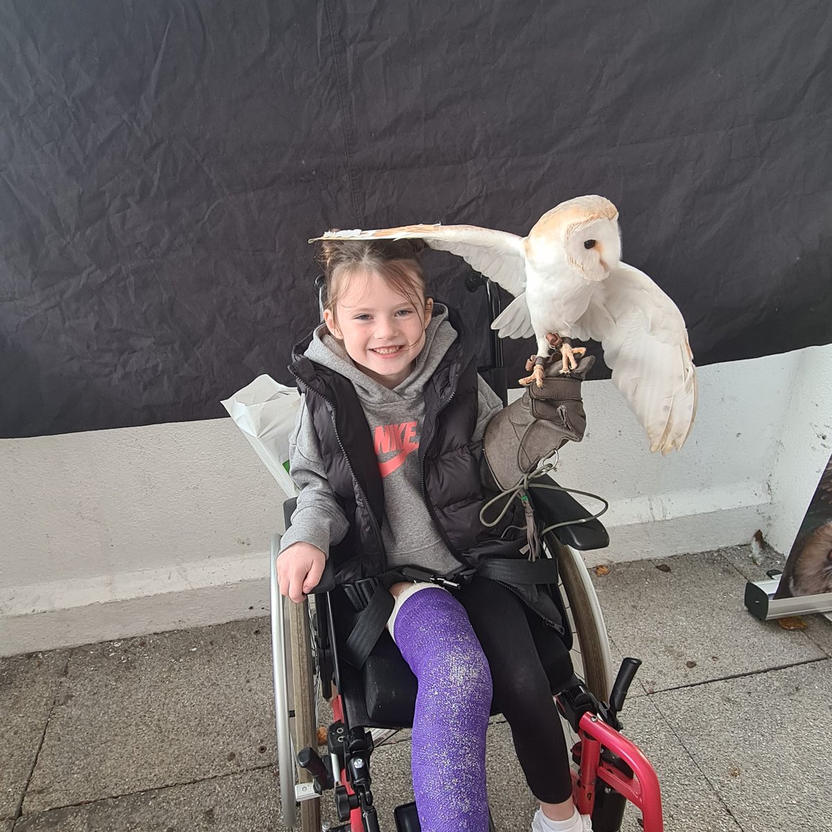 Jo4nn4b4n4n4's tweet image. Little pat on the head from Bonnie the owl 🤣🤣