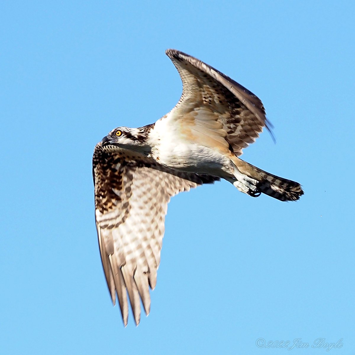 The Celtic Christian Tradition tweet media