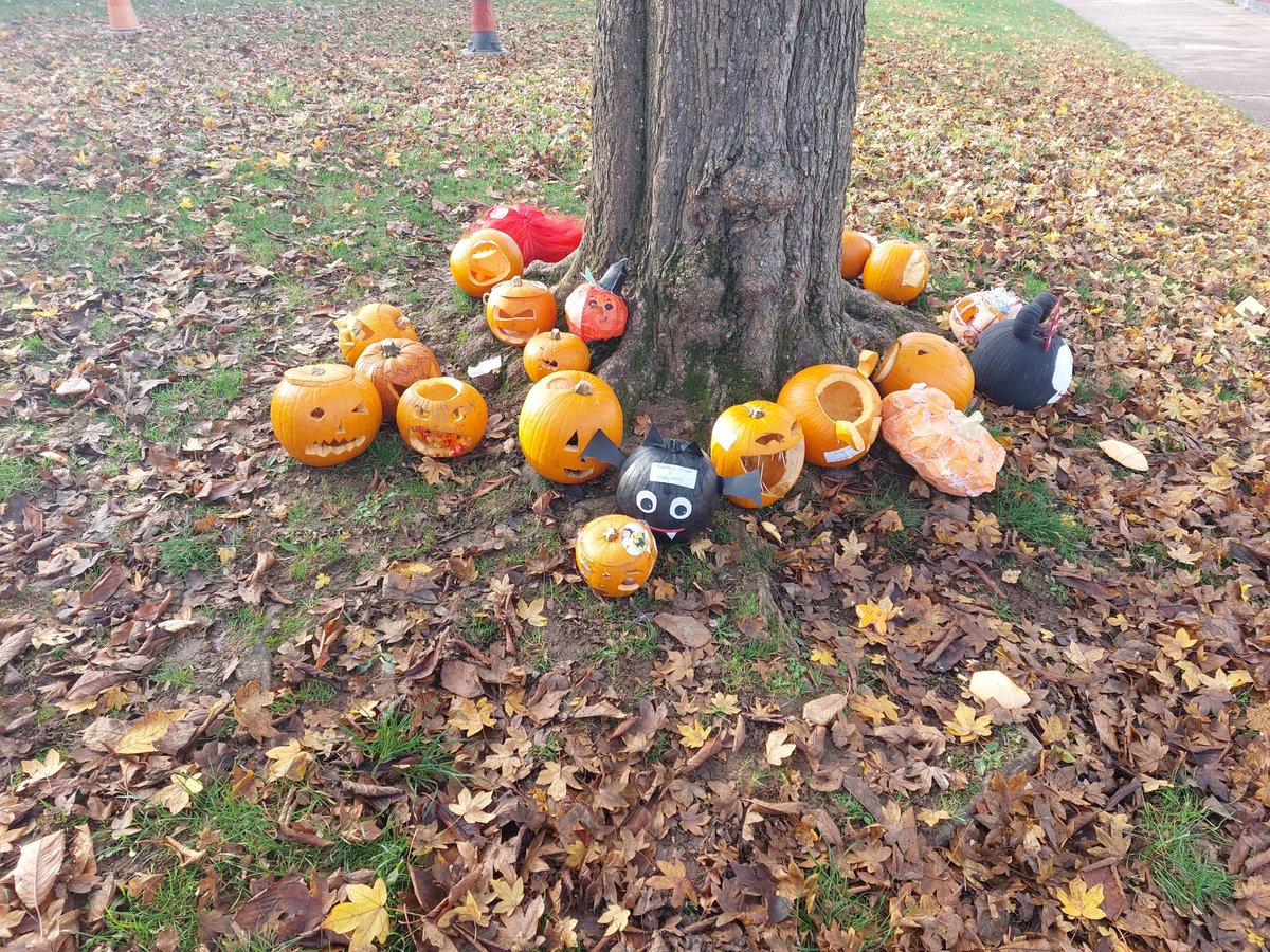 KitwellSchool's tweet photo. Thank-you to all those who carved such beautiful pumkins for our competition. You can see our entries below. Well done to our winners: Cristina, Ella, Tyler B, Bradley, Kyana, Fatima J, Abigail, Keighan, Harper T, Lexi S, Isla D, Harley and Jaese. https://t.co/FaAdfxlNGA
