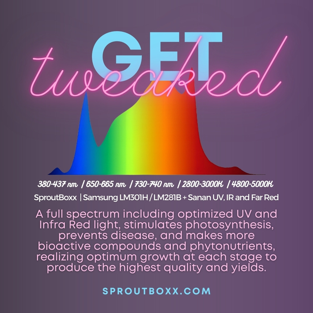 SproutBoxx's tweet photo. Tweak it, baby! 🫣The best results come from optimizing your light spectra to maximize plant growth at every stage. https://t.co/nTNzr2FTmX
SproutBoxx | Grow Like a Pro 💚
#growyourown #indoorplants #Mmemberville https://t.co/zCPHh7pgOS
