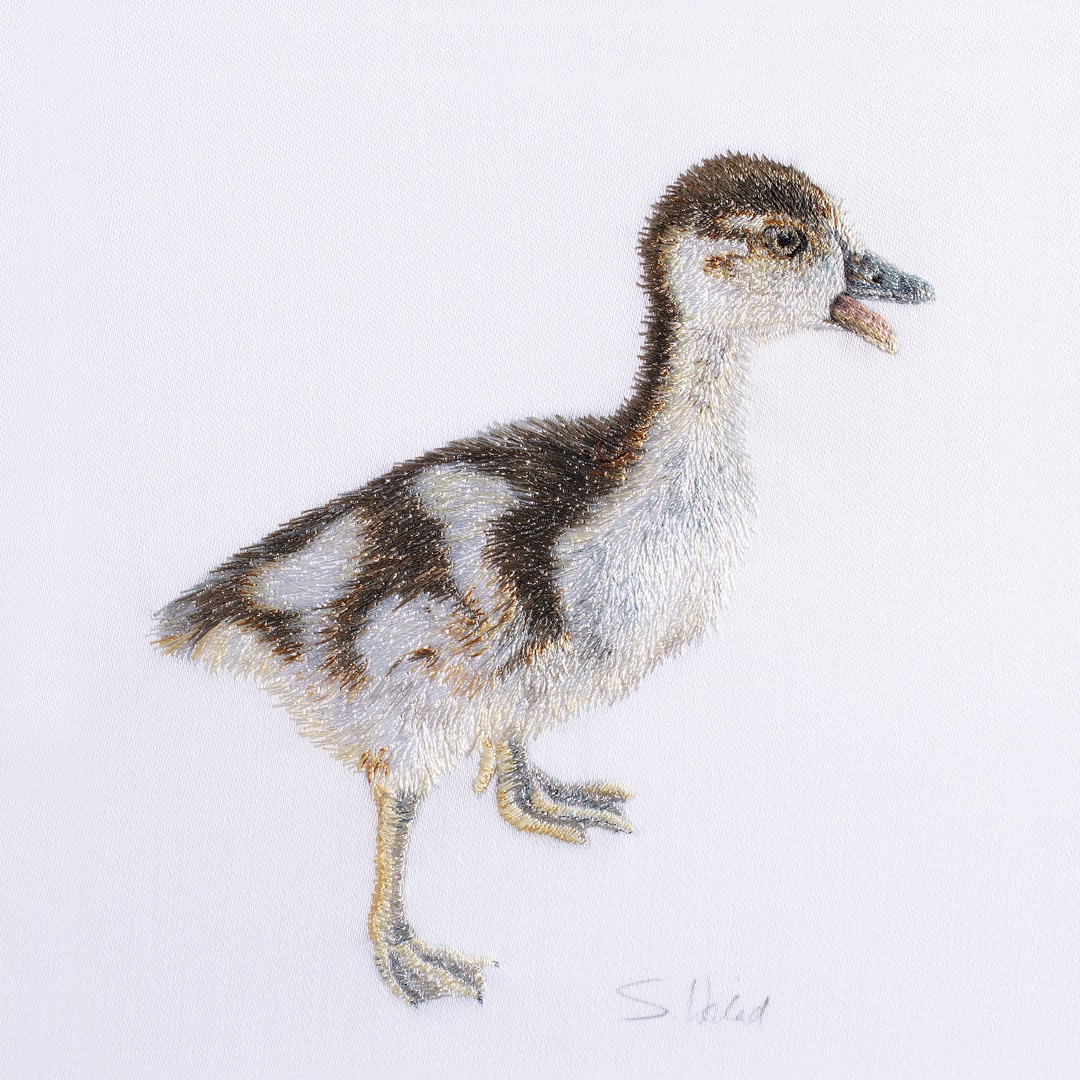 SusannahWeiland's tweet photo. The South West Academy Open Exhibition starts today at Kennaway House, Sidmouth and I am so pleased my St James Gosling has been selected for this show.
November 1st - 12th 2022
@SWAcArt #embroidered #artwork #wildlifeart https://t.co/rAfwzridQ0