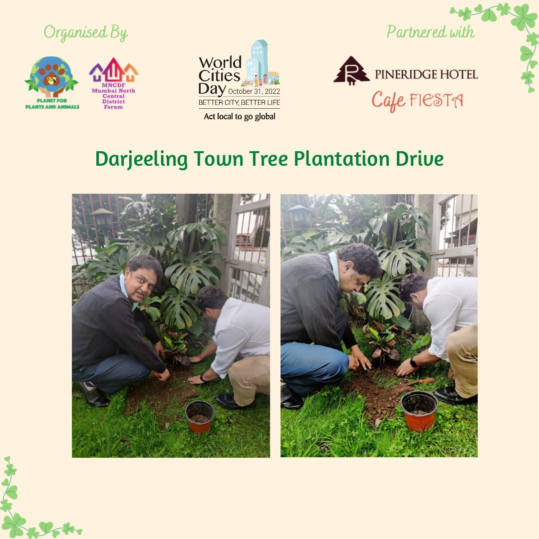 PPA_India's tweet photo. We celebrated #WorldCitiesDay by conducting a Tree plantation drive at Hotel #pineridge / Cafe Fiesta, Darjeeling. The idea is to  #ActlocalGoglobal &amp; initiate #SDGs in Urban areas i.e. #SDGlocalization
#PPAforEnvironment #climateadaptation #ClimateAction #darjeeling https://t.co/z03weiw5Fh