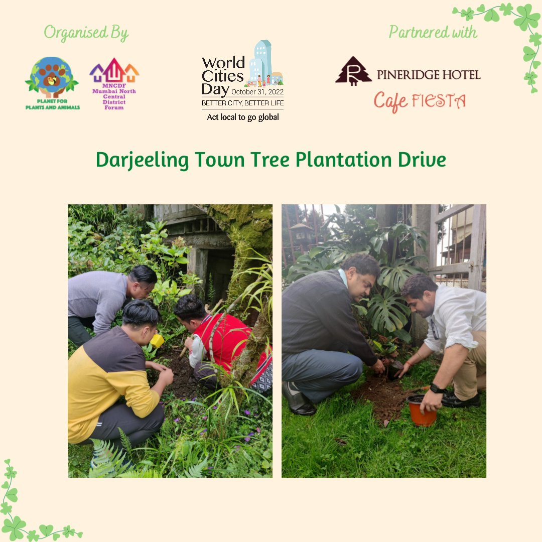 PPA_India's tweet photo. We celebrated #WorldCitiesDay by conducting a Tree plantation drive at Hotel #pineridge / Cafe Fiesta, Darjeeling. The idea is to  #ActlocalGoglobal &amp; initiate #SDGs in Urban areas i.e. #SDGlocalization
#PPAforEnvironment #climateadaptation #ClimateAction #darjeeling https://t.co/z03weiw5Fh