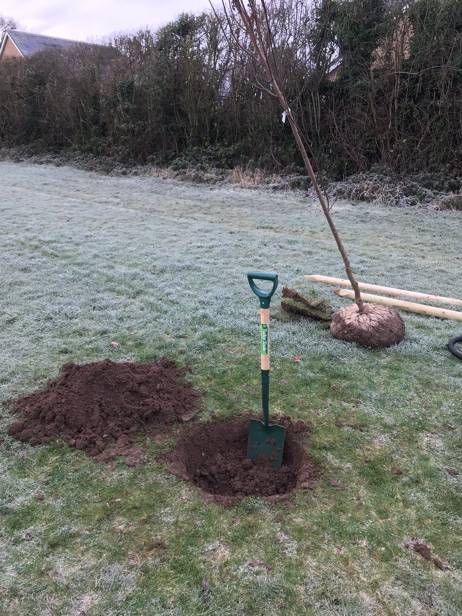 Happy #November 😍

This week we will be planting our first two trees... kindly donated and part of the #QueensGreenCanopy.... keep in tune later this week to find out more! 👌🌳

#PlantingOurFuture #Treeplanting #schools #community