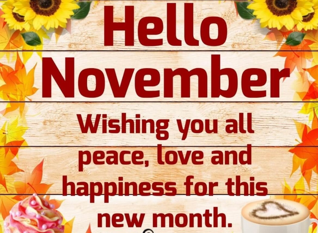 Happy November friends.🍂