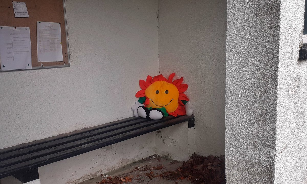 Tell me you live in a Mid-Walian hamlet without telling me you live in a Mid-Walian hamlet 😄🌻