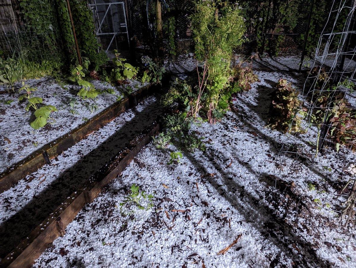 adaw's tweet photo. #narrewarren #hail on the ground like snow, never seen this before in 10+ years https://t.co/RzN7UEnCTX