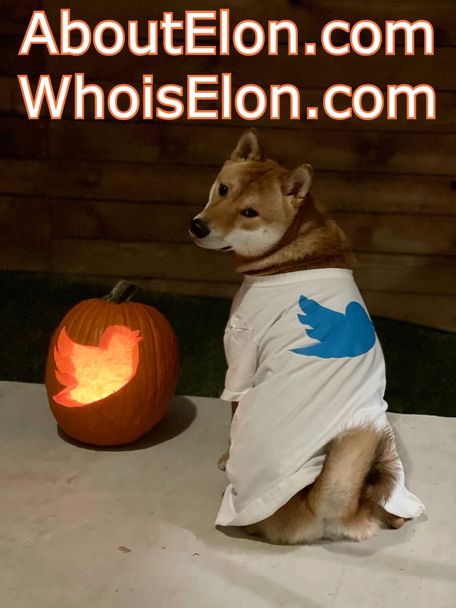 HorusGPT's tweet photo. https://t.co/wYuLIAIG0P
https://t.co/NEuuIgLXGA
#whoisElon
#aboutElon
#Doge #Doge4Tesla #DogeClub #Elon #ElonMusk #Elontwitter #twitter https://t.co/tAP3pktVm8