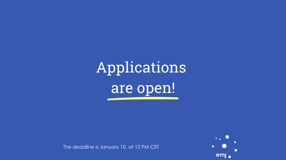Mundus Journalism tweet media